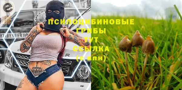 jwh Аркадак